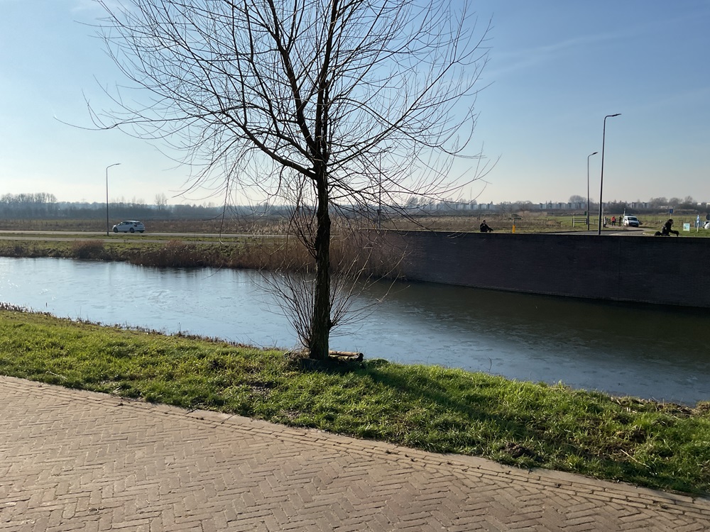 Lunersingel 7