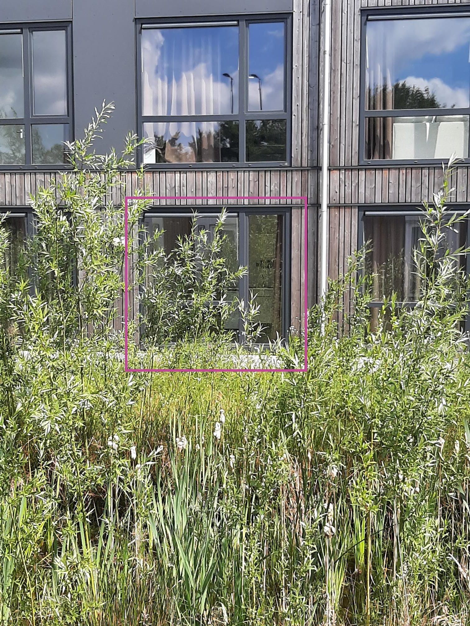 Kruithoorn 5, 5216 JX 's-Hertogenbosch, Nederland