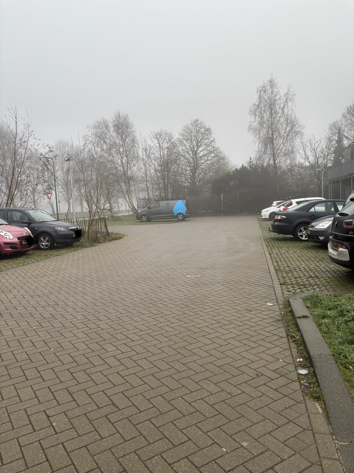 Kruithoorn 1