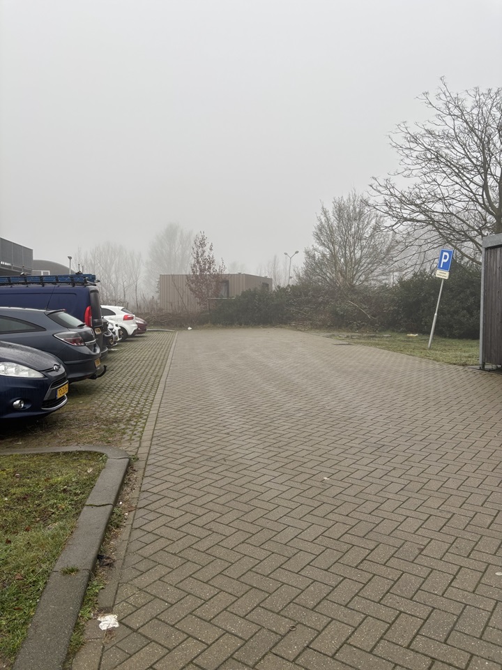 Kruithoorn 1