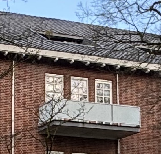 Willem de Rijkelaan 50