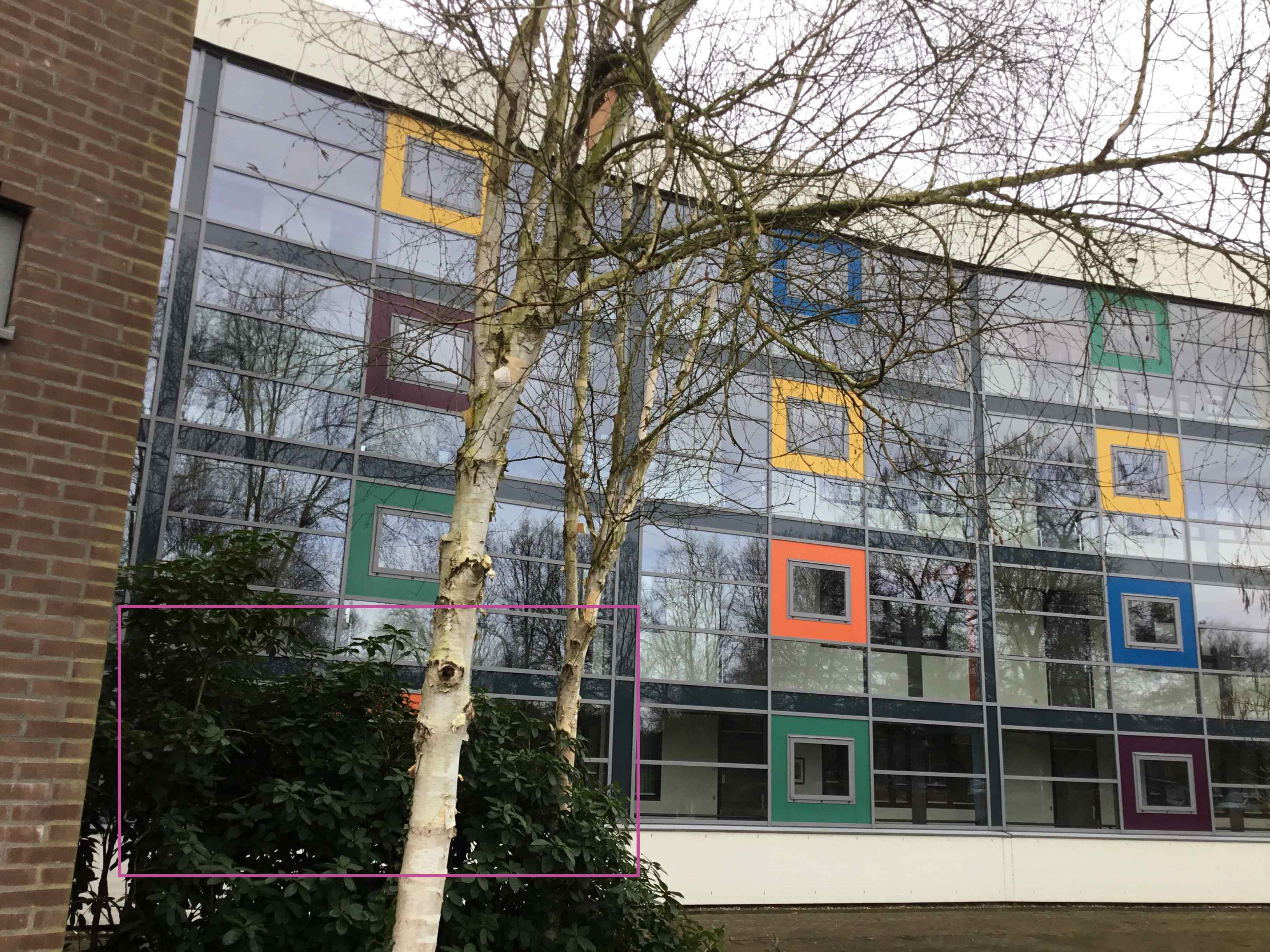 Molenhof 2, 5281 AG Boxtel, Nederland