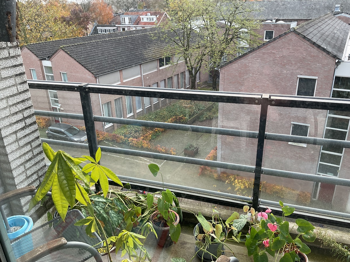 Schaarmeesterstraat 126