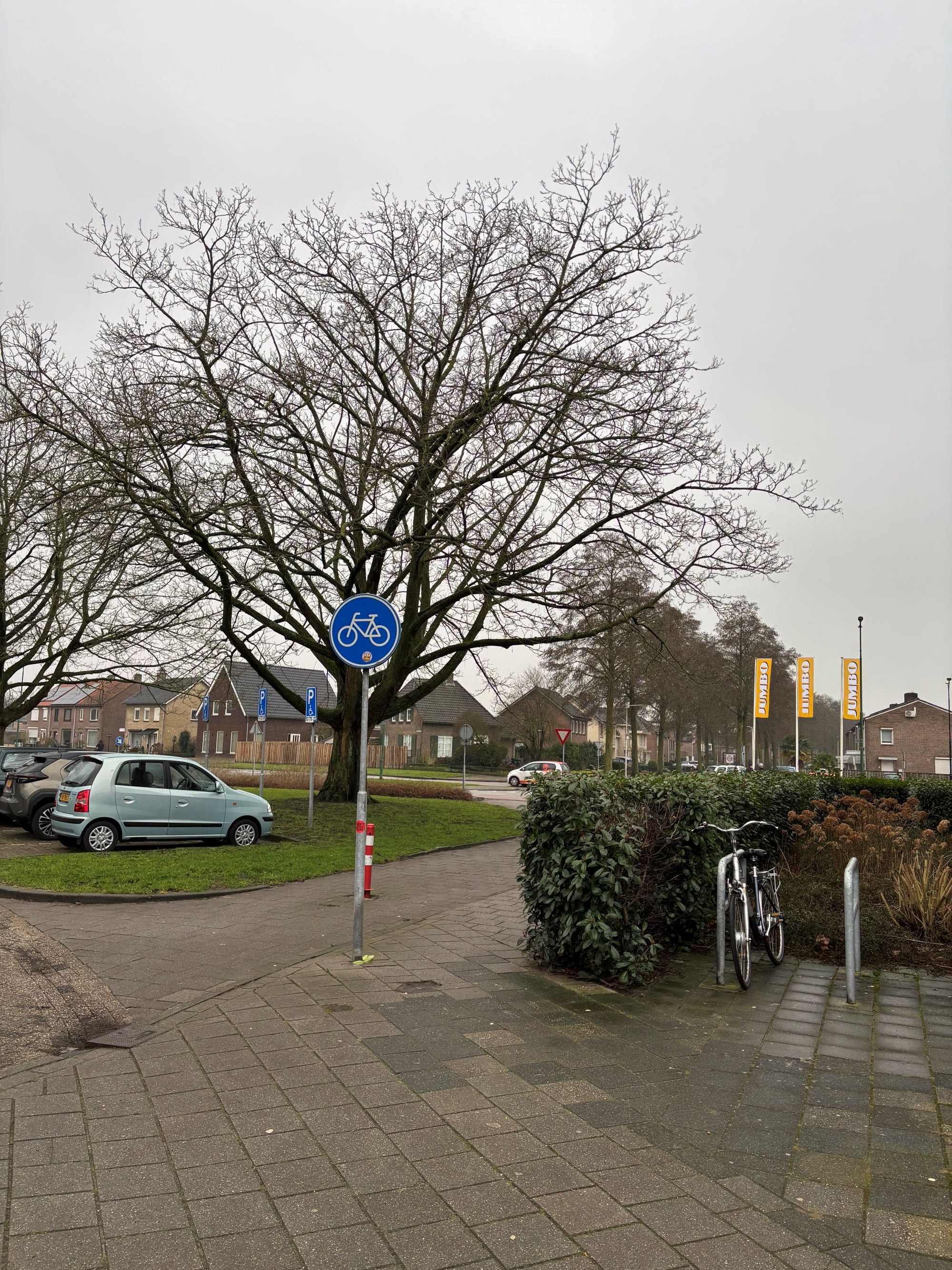 Driek van Erpstraat 49