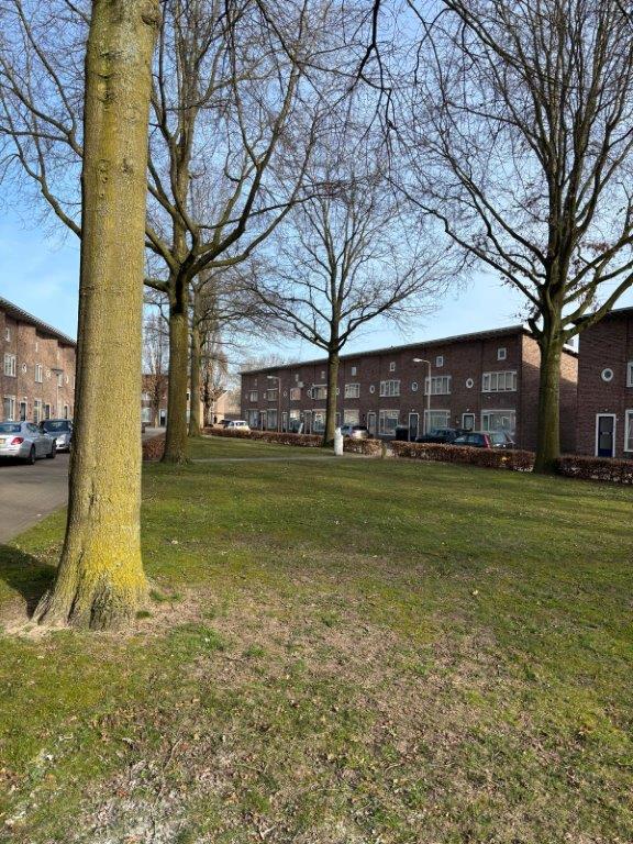 Johan van Bijnenstraat 26