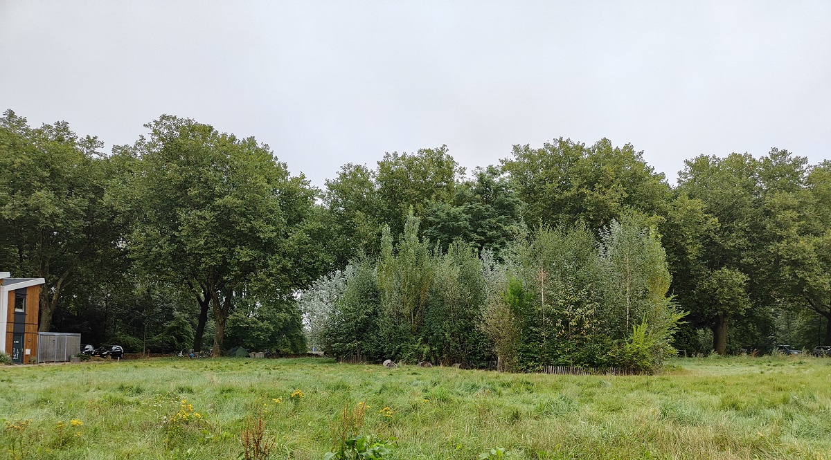 Aartshertogenlaan 456