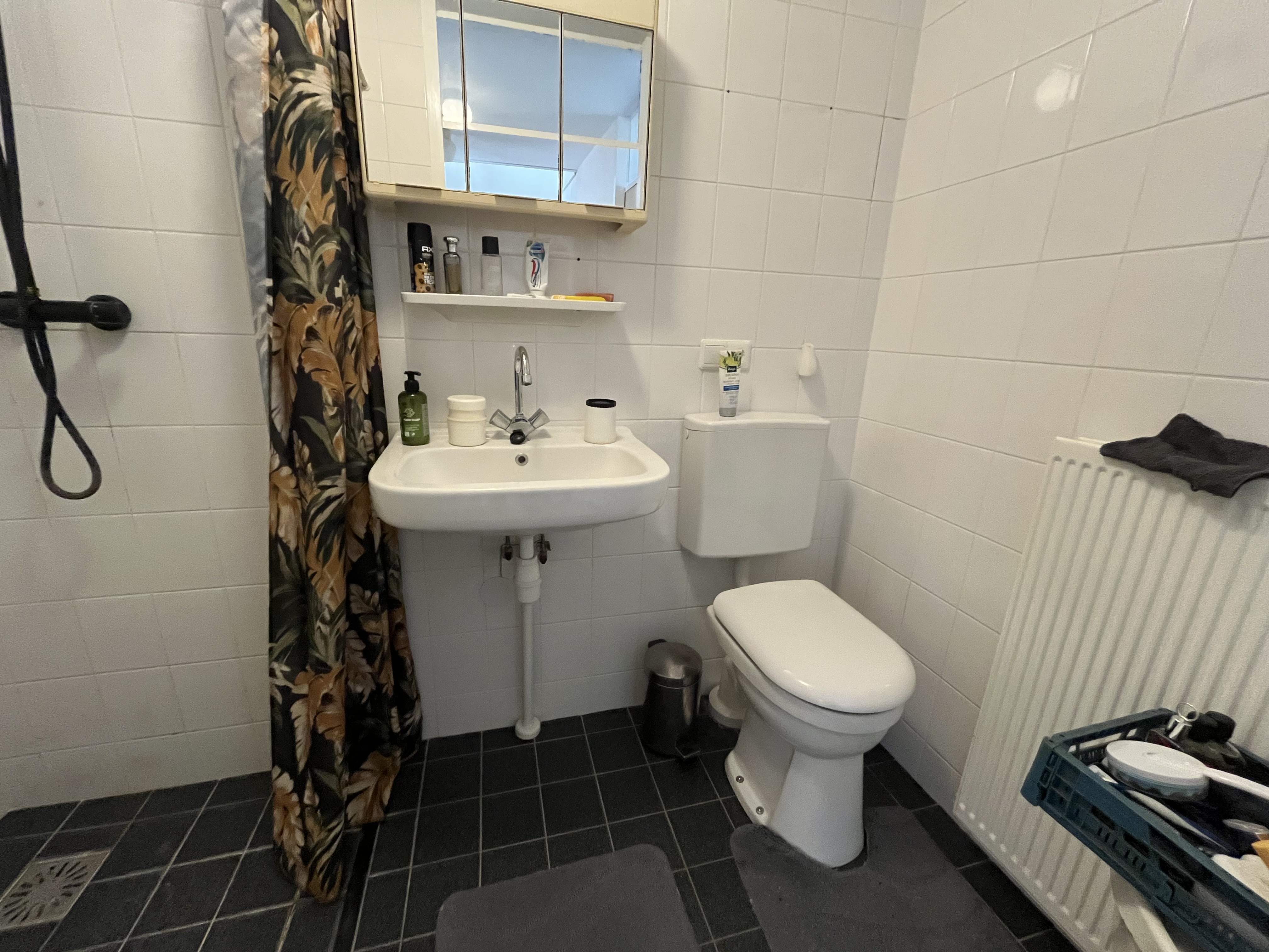 Vermeerplantsoen 106