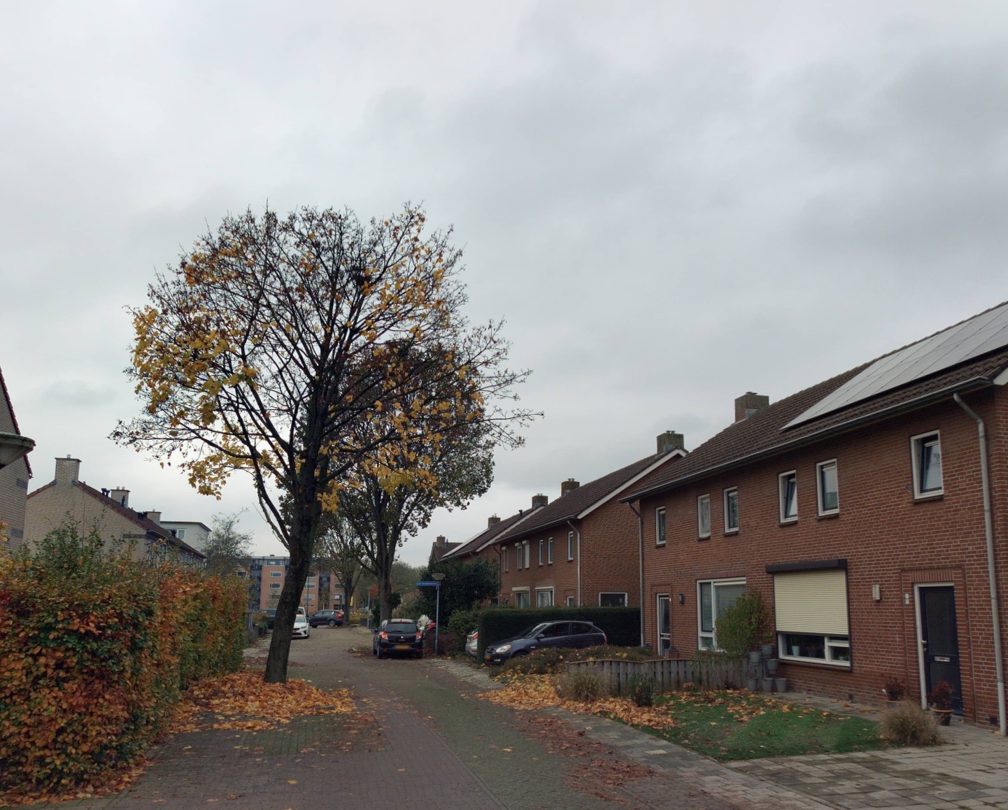 Vincent van Goghstraat 16