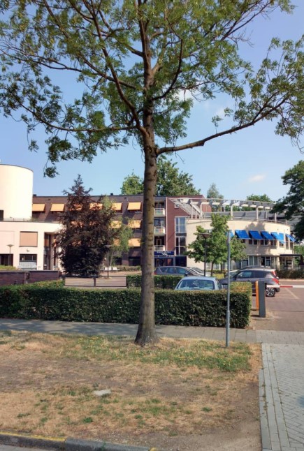Reigerdonk 70