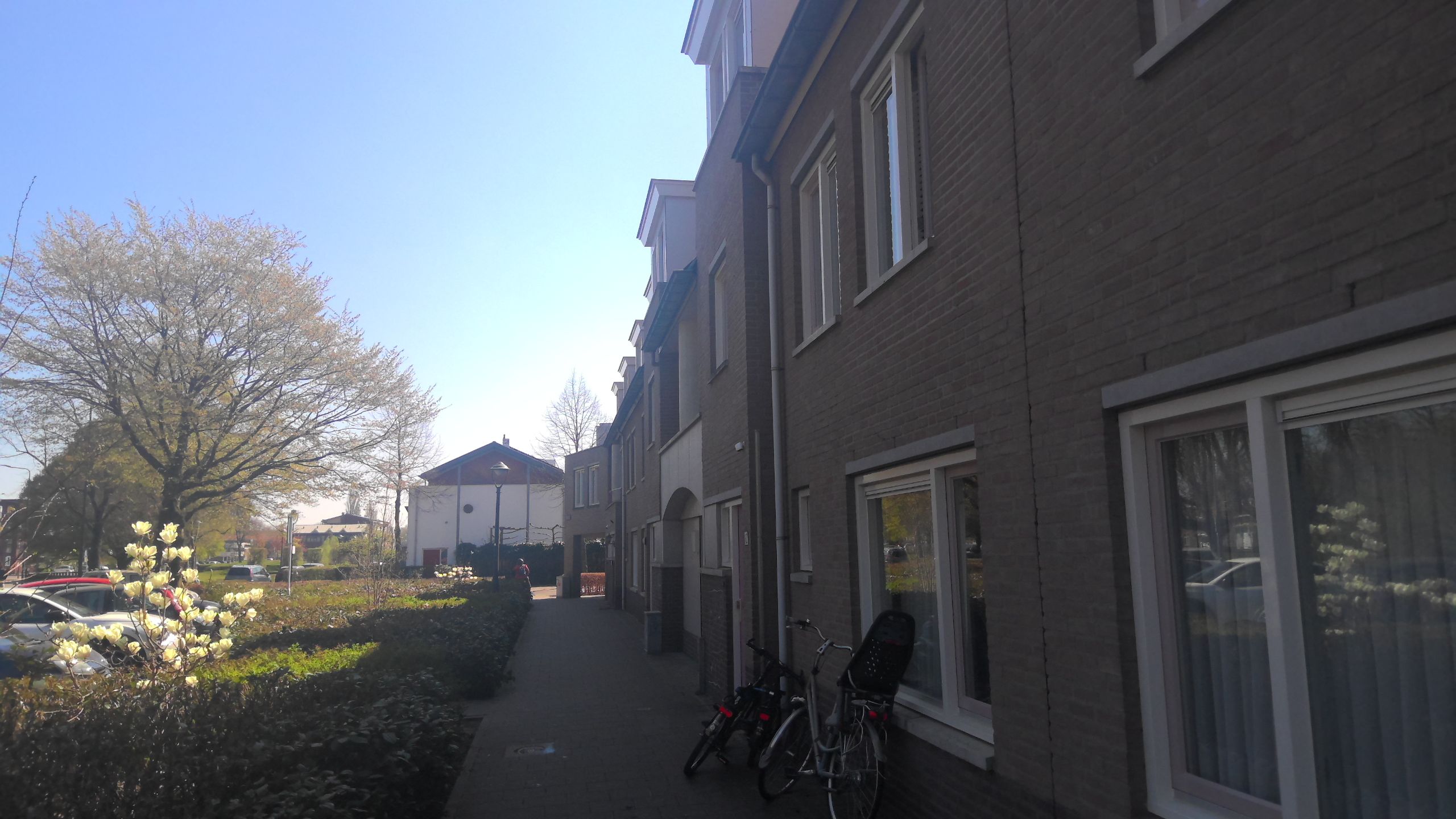 Geldersedam 10