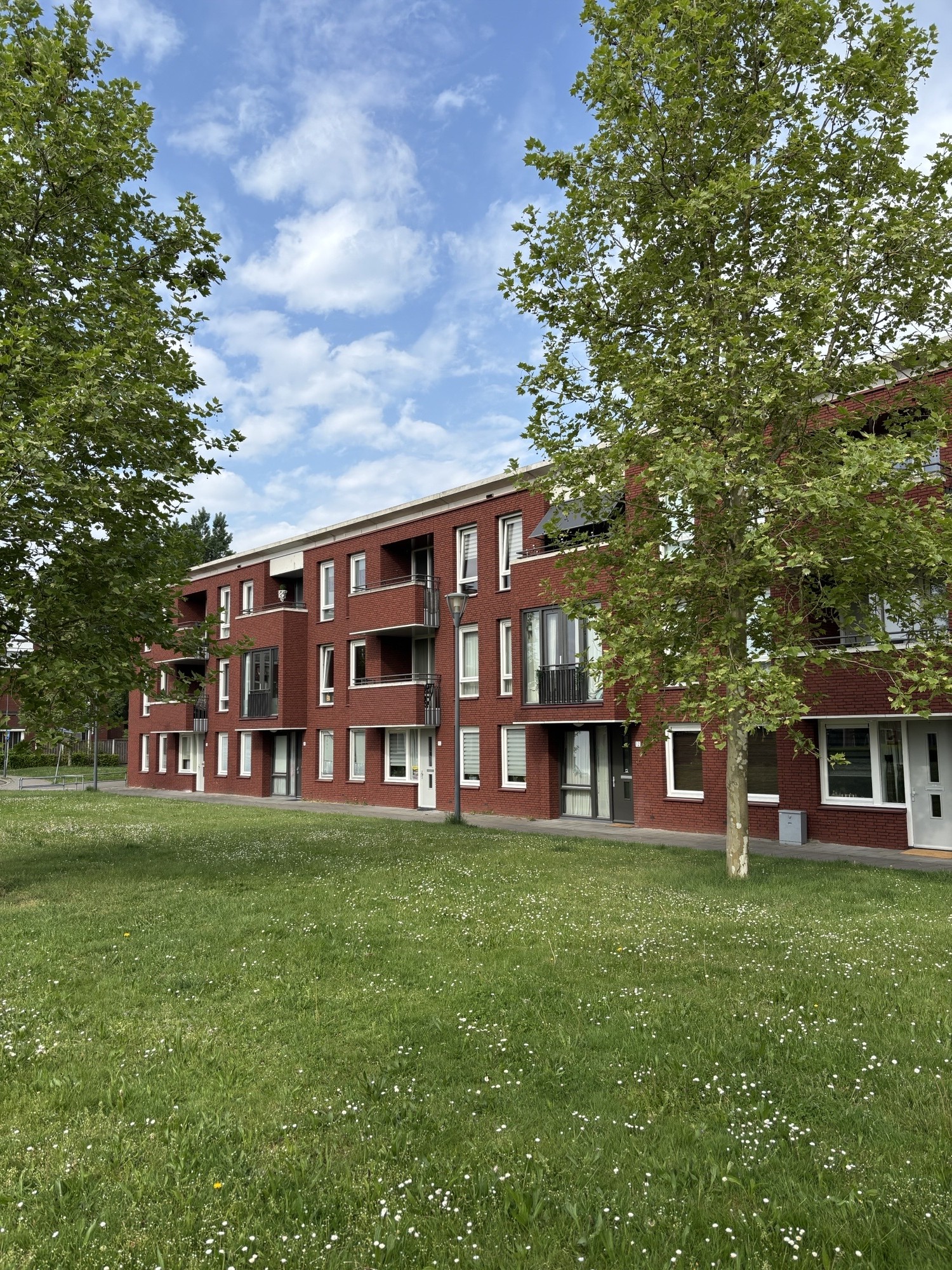 Baksvelstraat 80