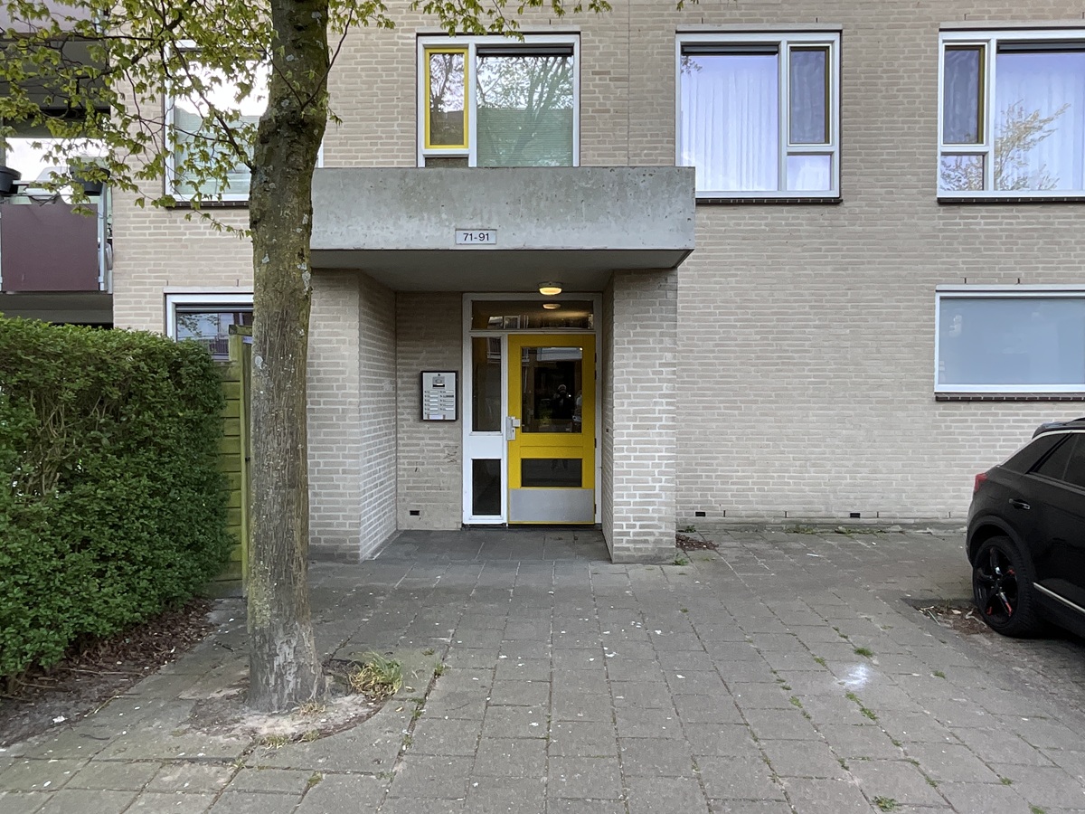Grevelingen 81
