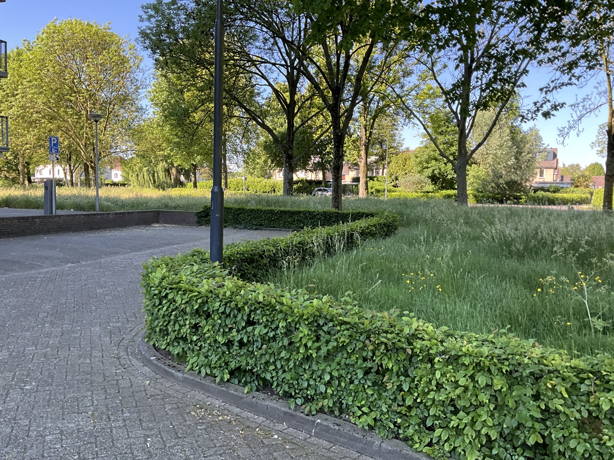 De Bokkelaren 300