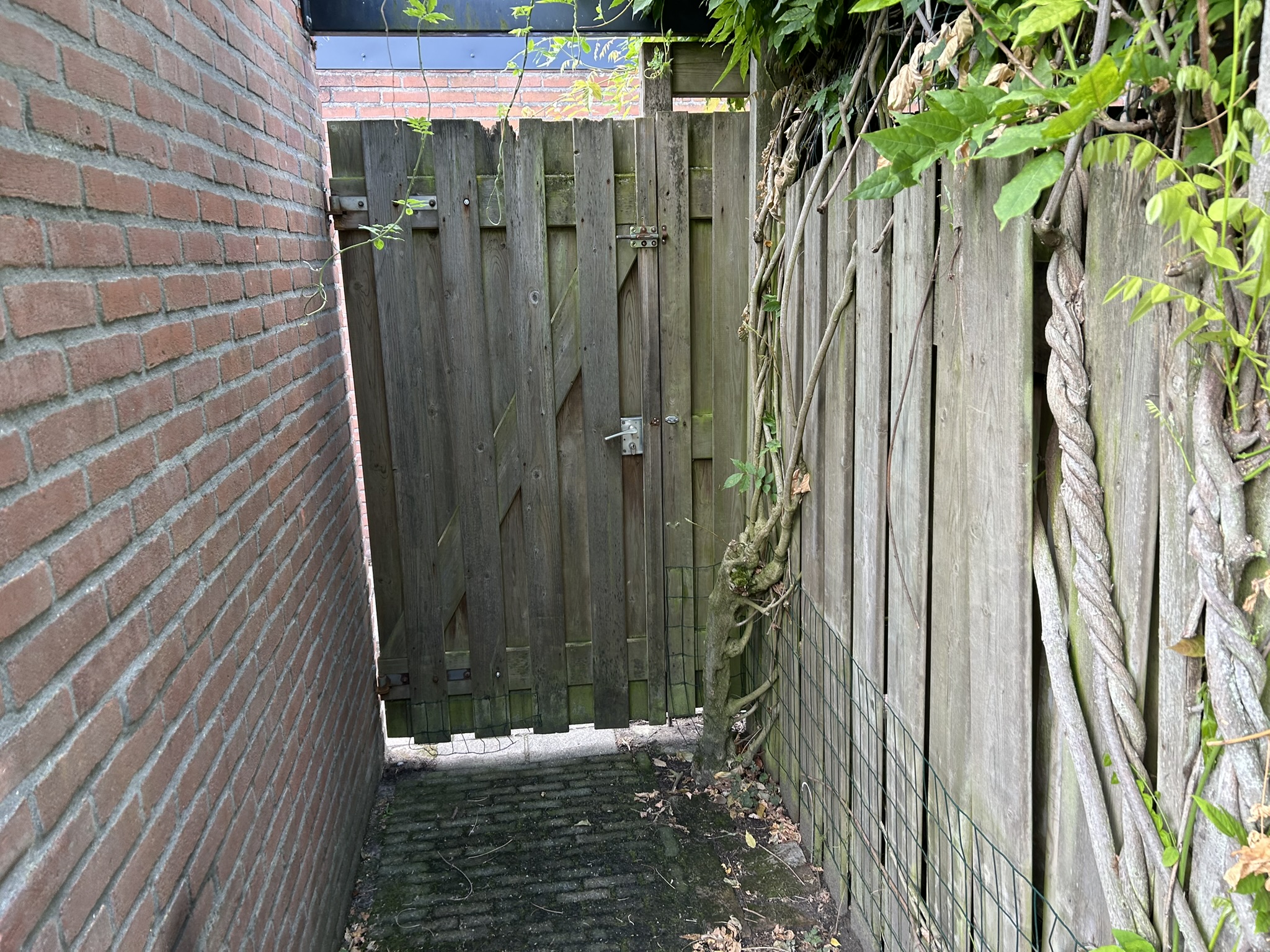 Van Leeuwenstraat 45