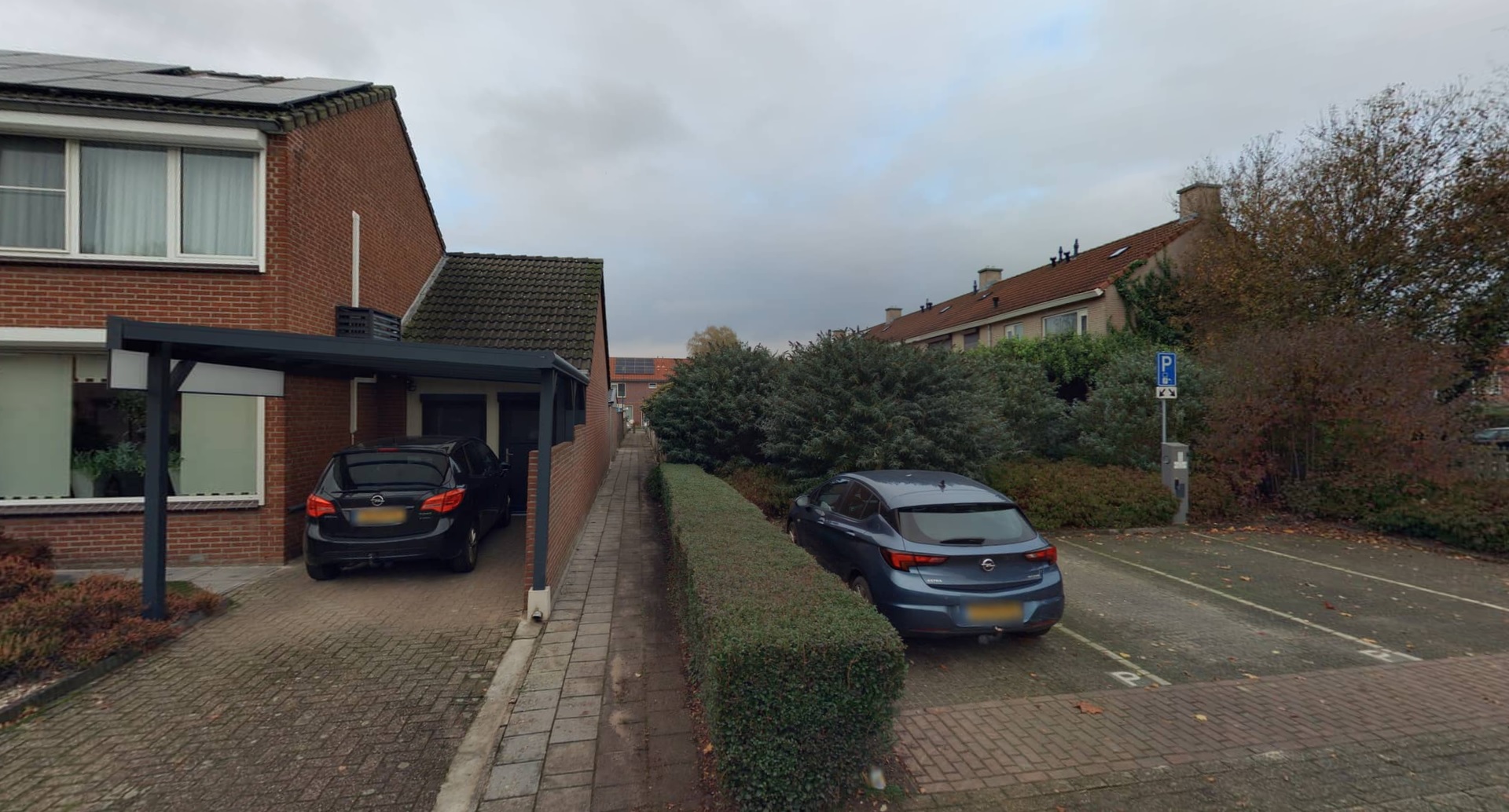 Pieter Brueghelstraat 20