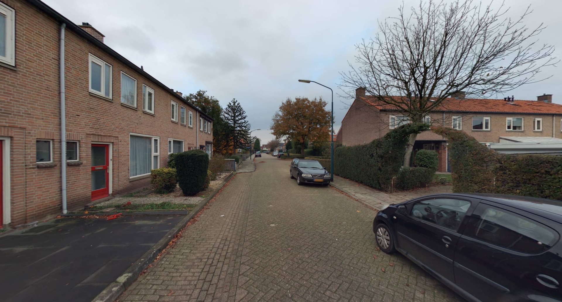 Pieter Brueghelstraat 20