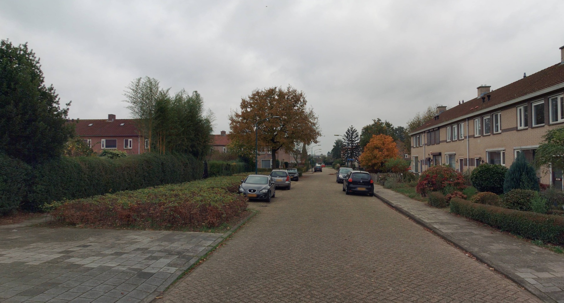 Pieter Brueghelstraat 20