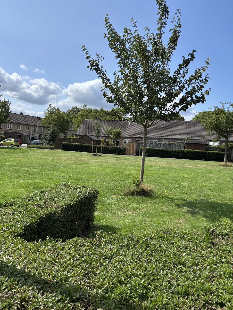 Van Veldekestraat 41