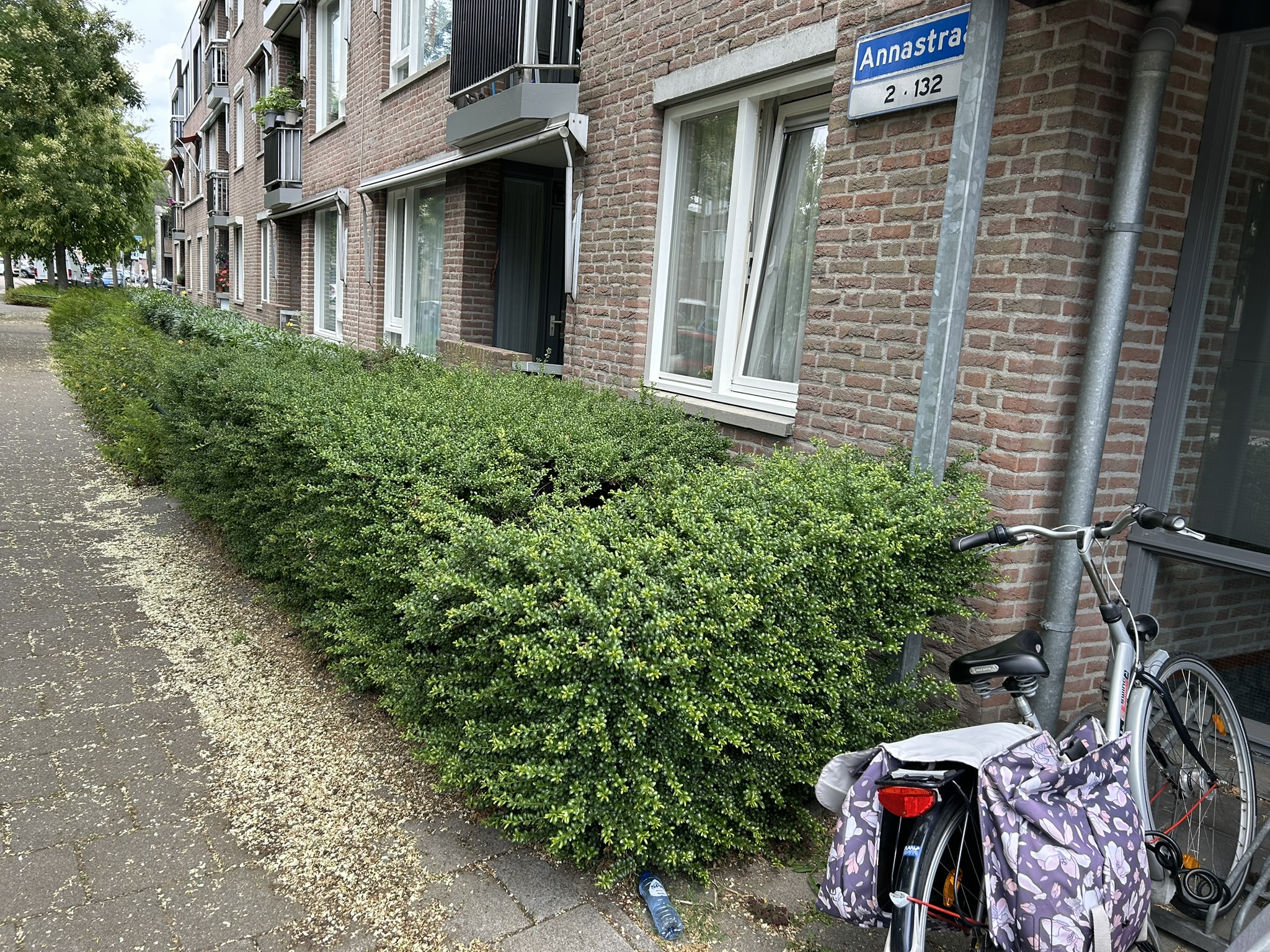Annastraat 18