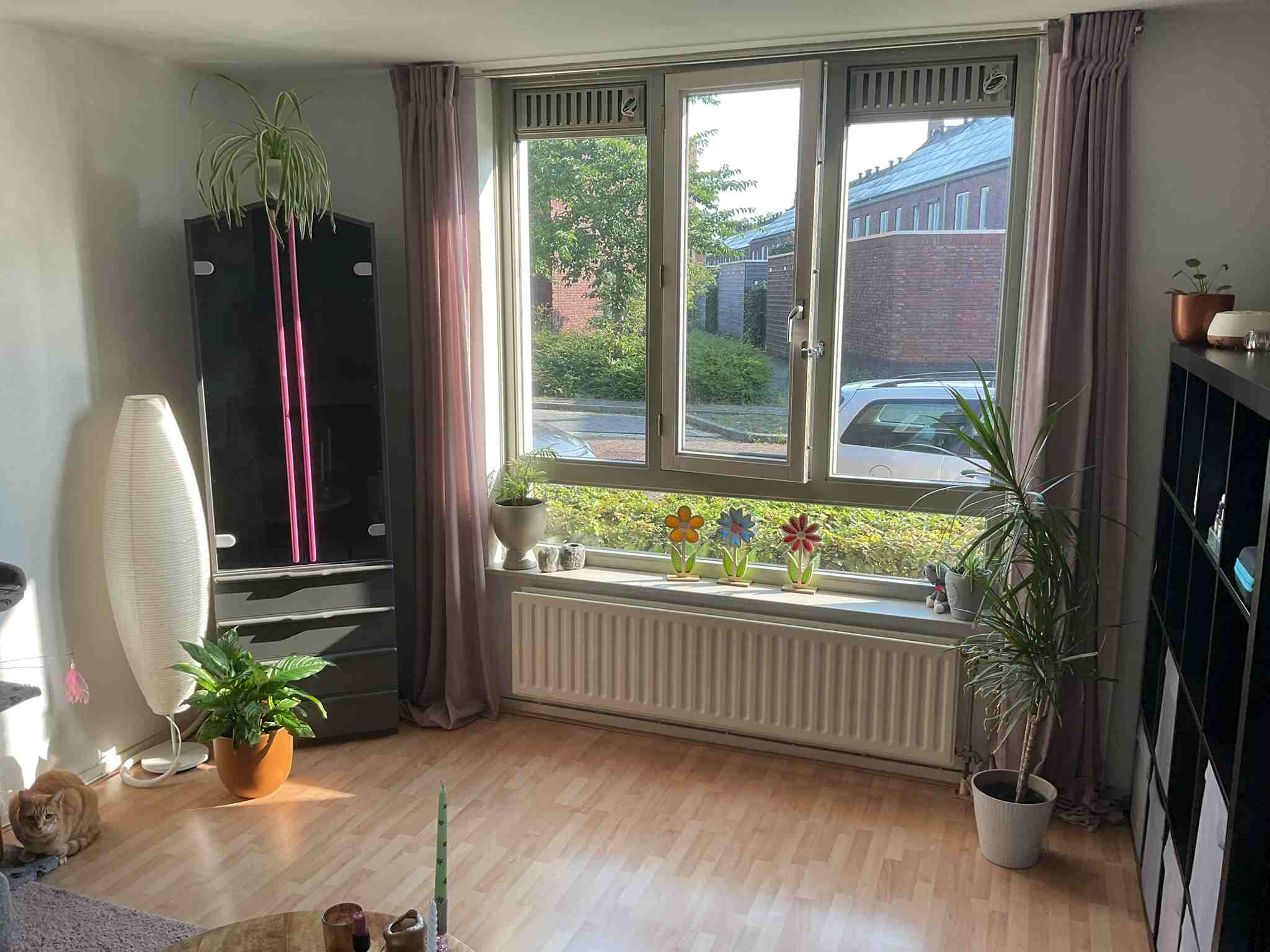 Hendrika van Haeftenstraat 3