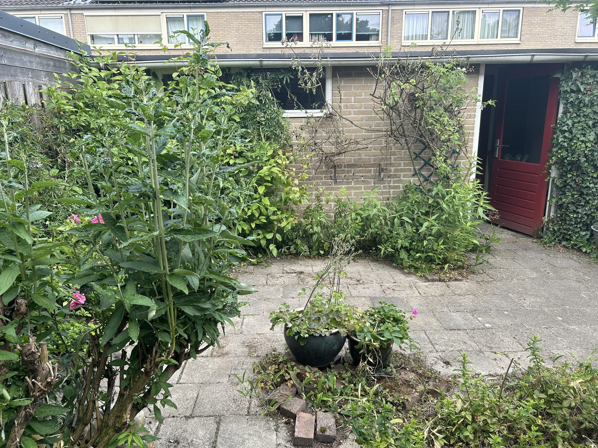 Nieuwe Nieuwstraat 10