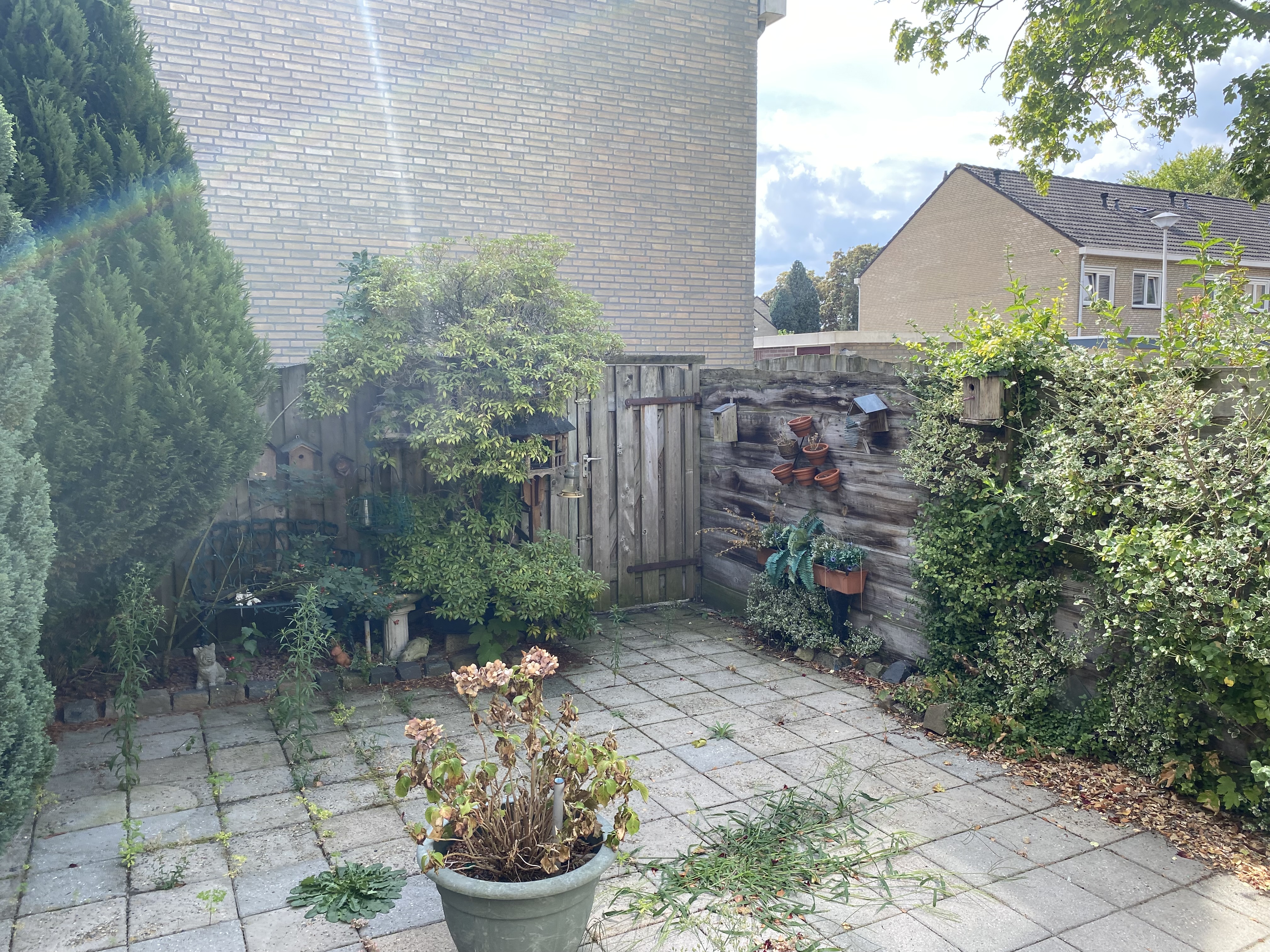 Jan Tooropplantsoen 29