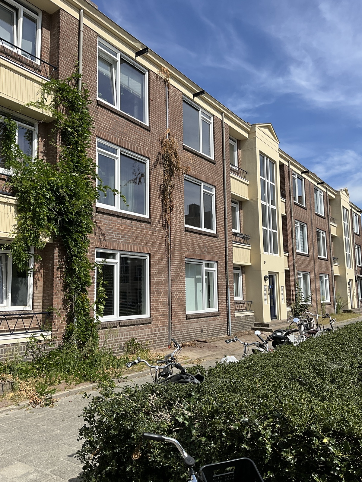 Hadewychstraat , 5216 's-Hertogenbosch, Nederland