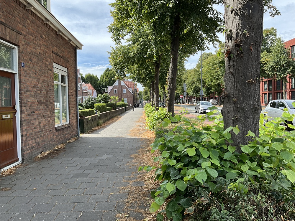 Graafseweg 113, 5213 AC 's-Hertogenbosch, Nederland