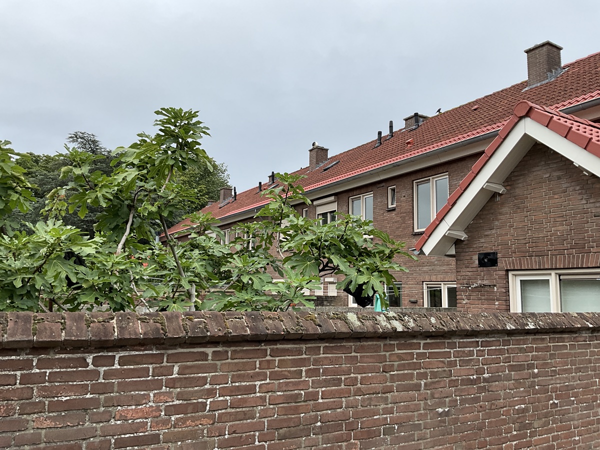 Monseigneur van Schaikstraat 30