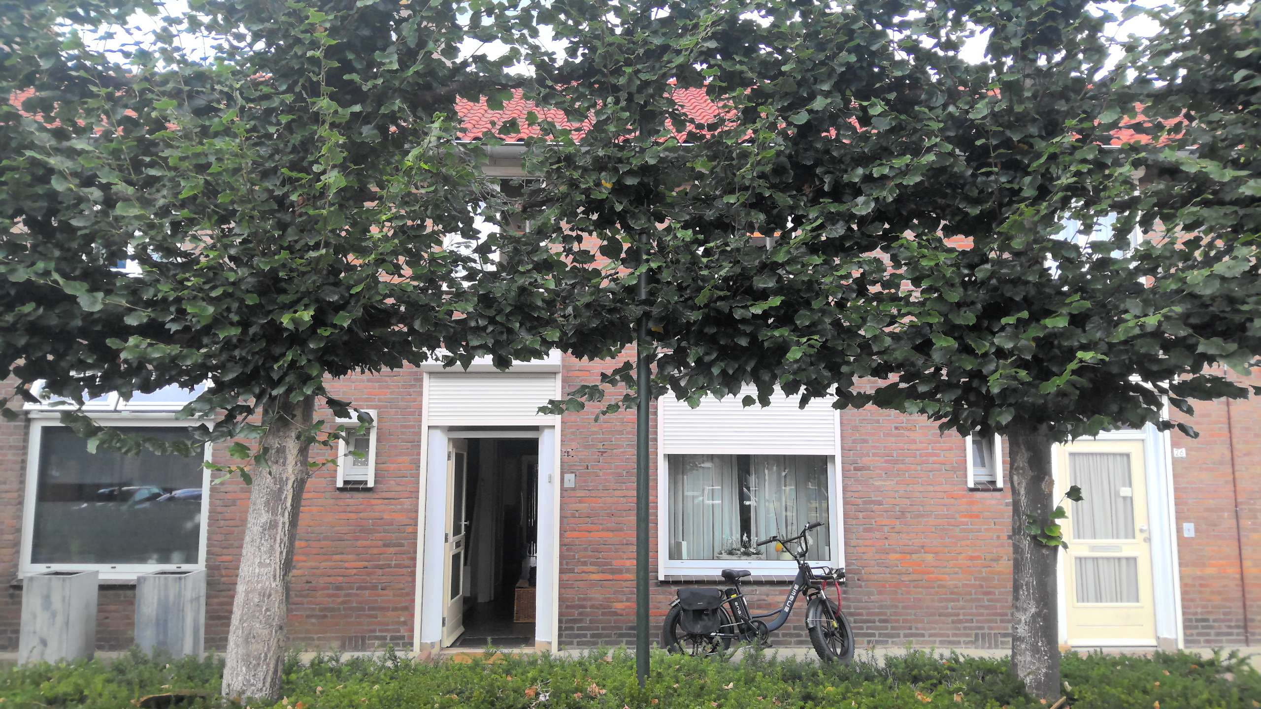 Roodborststraat 24