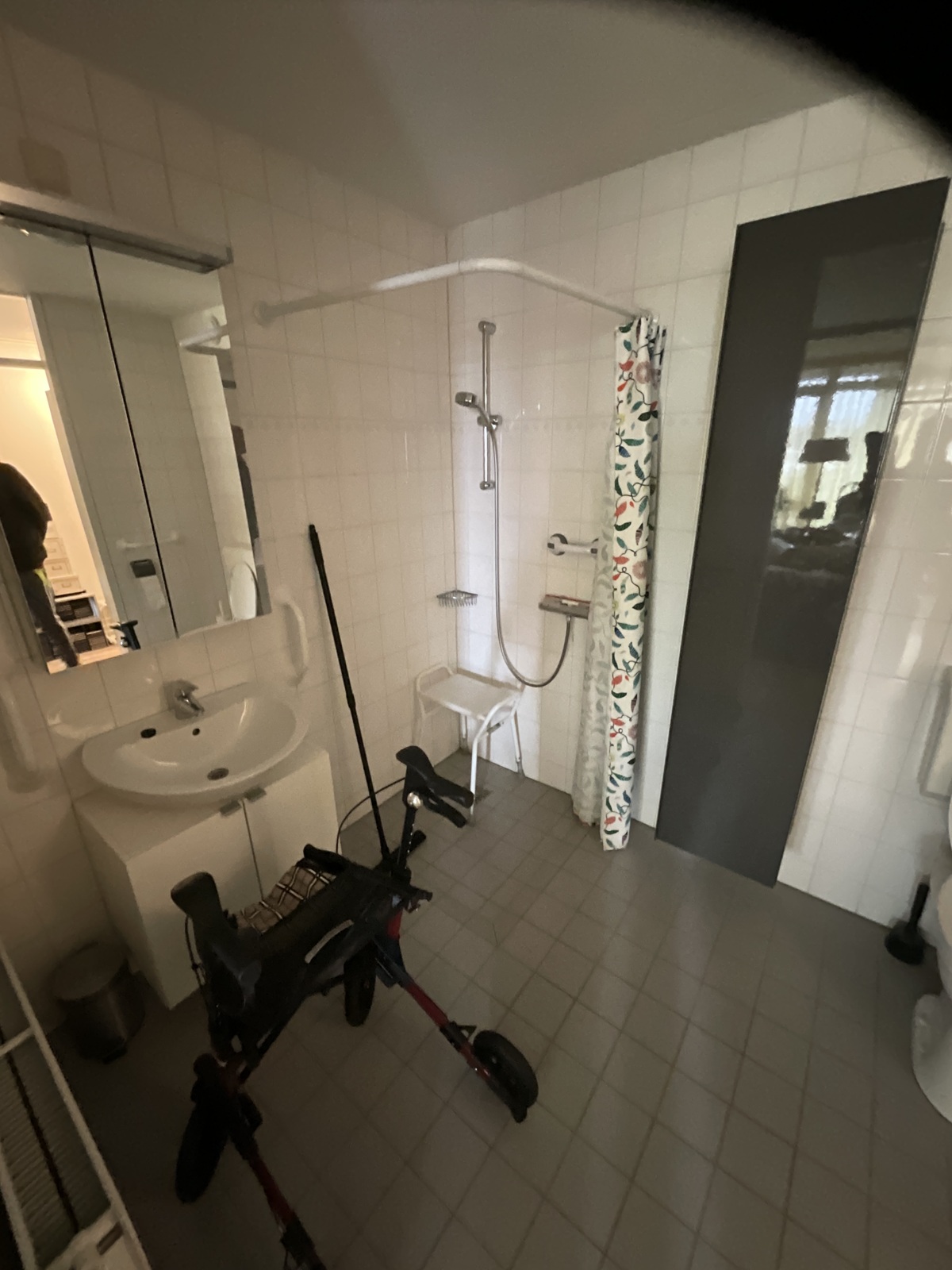 Zuid-Willemsvaart 485