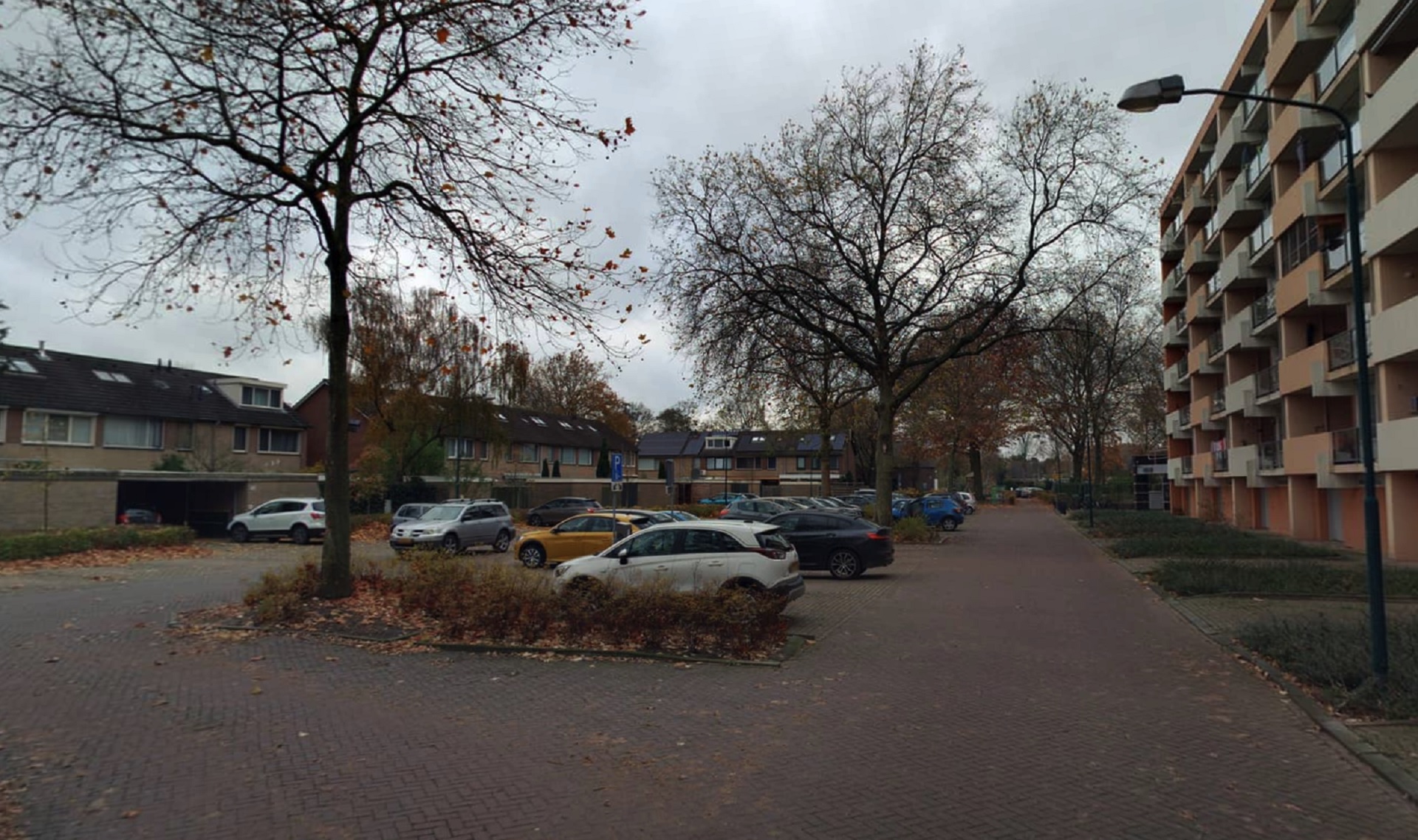 Patrijzenveld 43