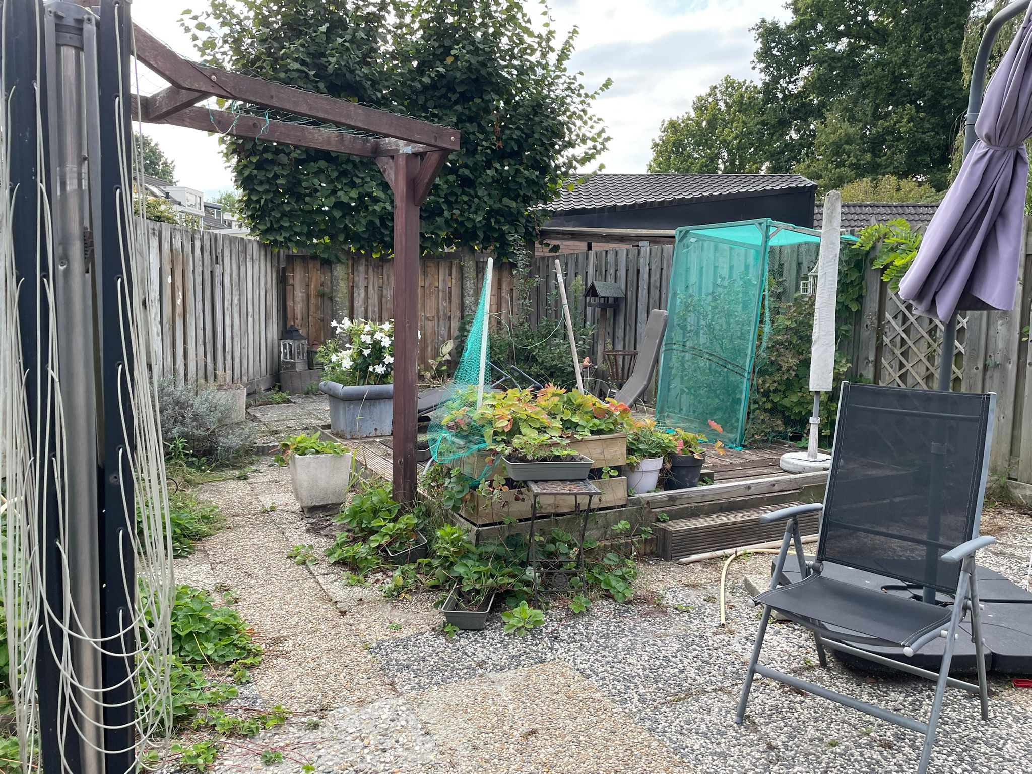 Regent Goijaertsstraat 36