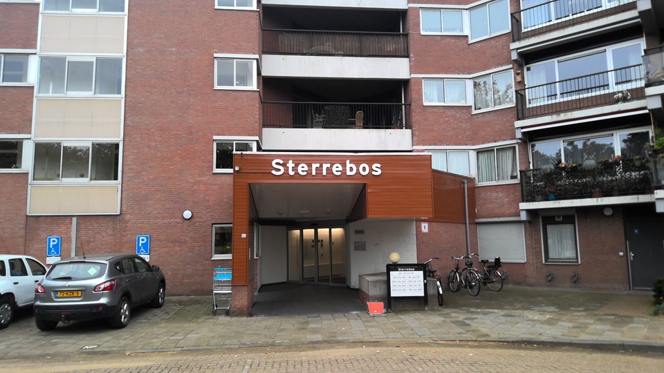 Sterrebos 384
