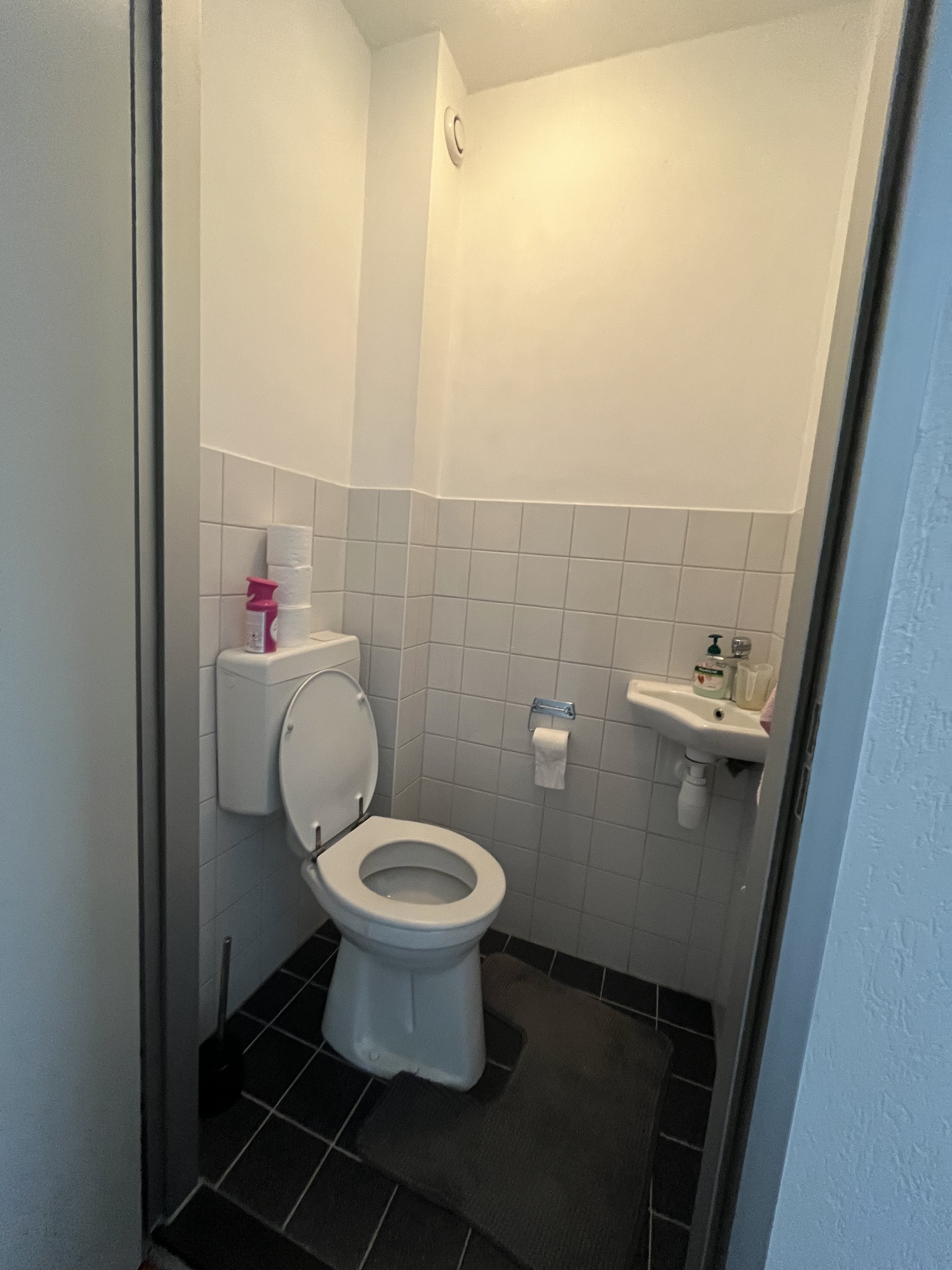 Jan Tooropplantsoen 80