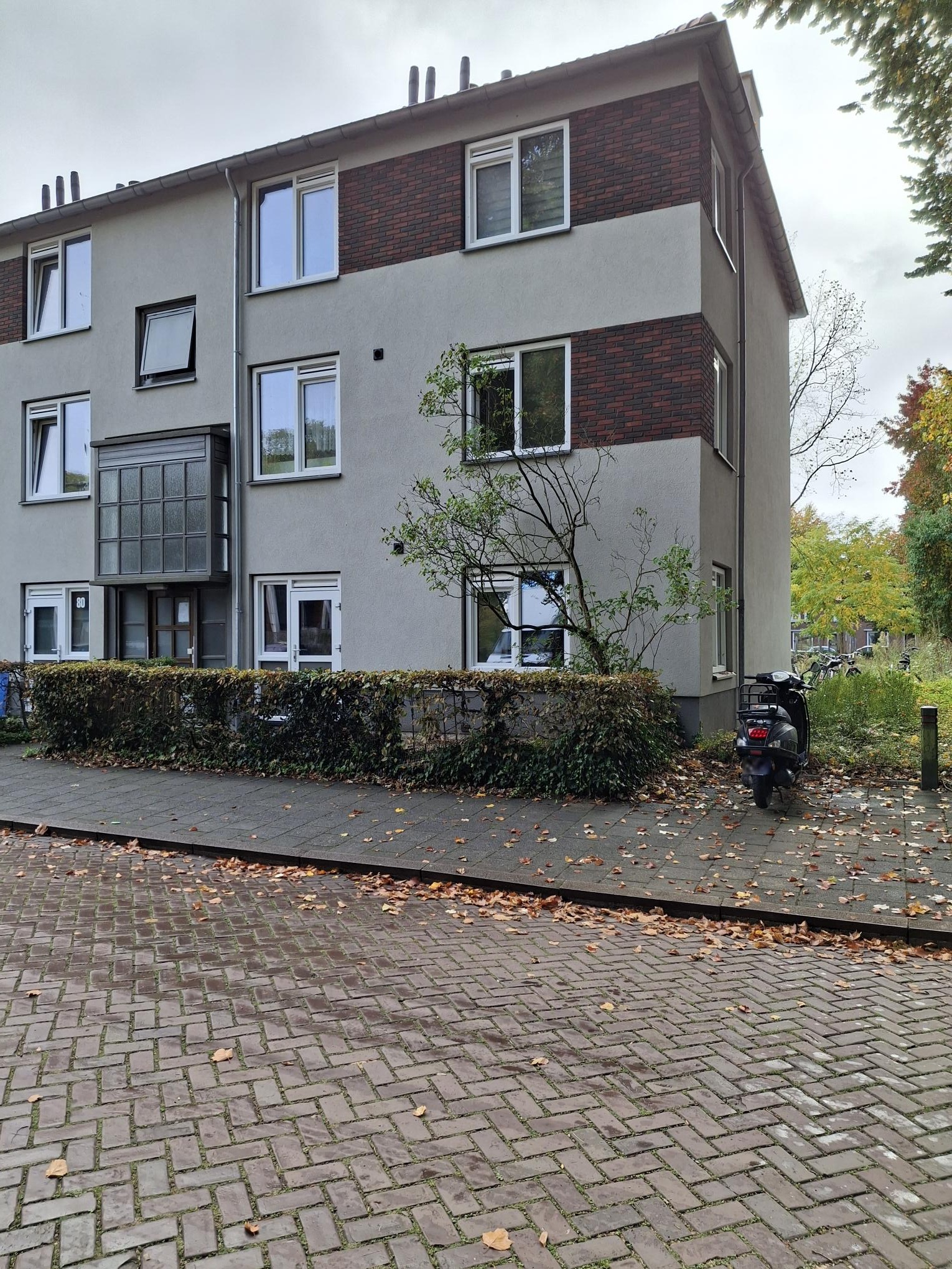 Pieter Breughelstraat 84