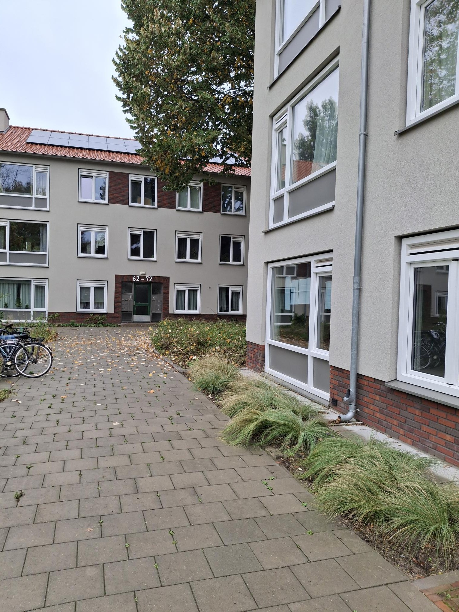 Pieter Breughelstraat 84