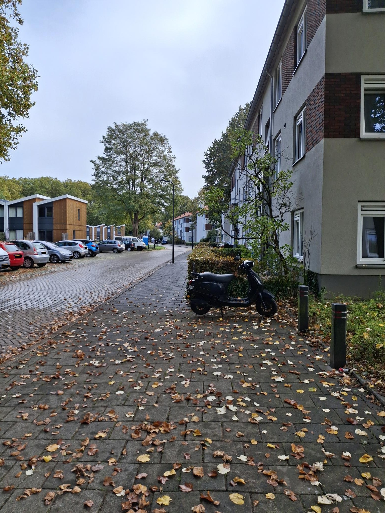 Pieter Breughelstraat 84