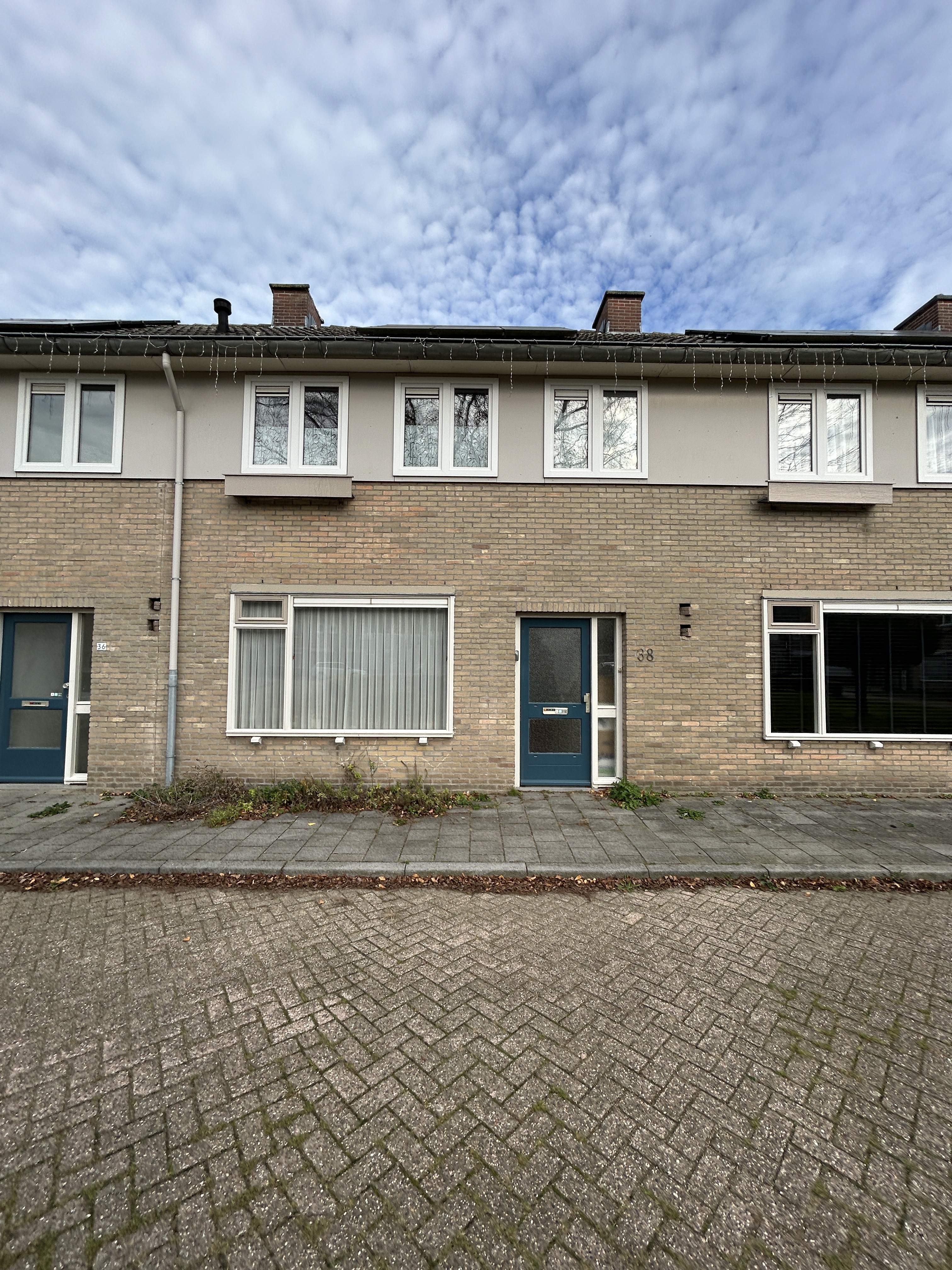 Boomstraat 38
