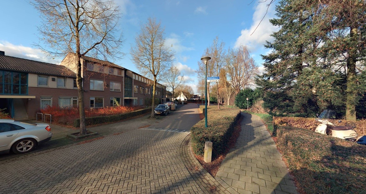 Kattedoorn 37