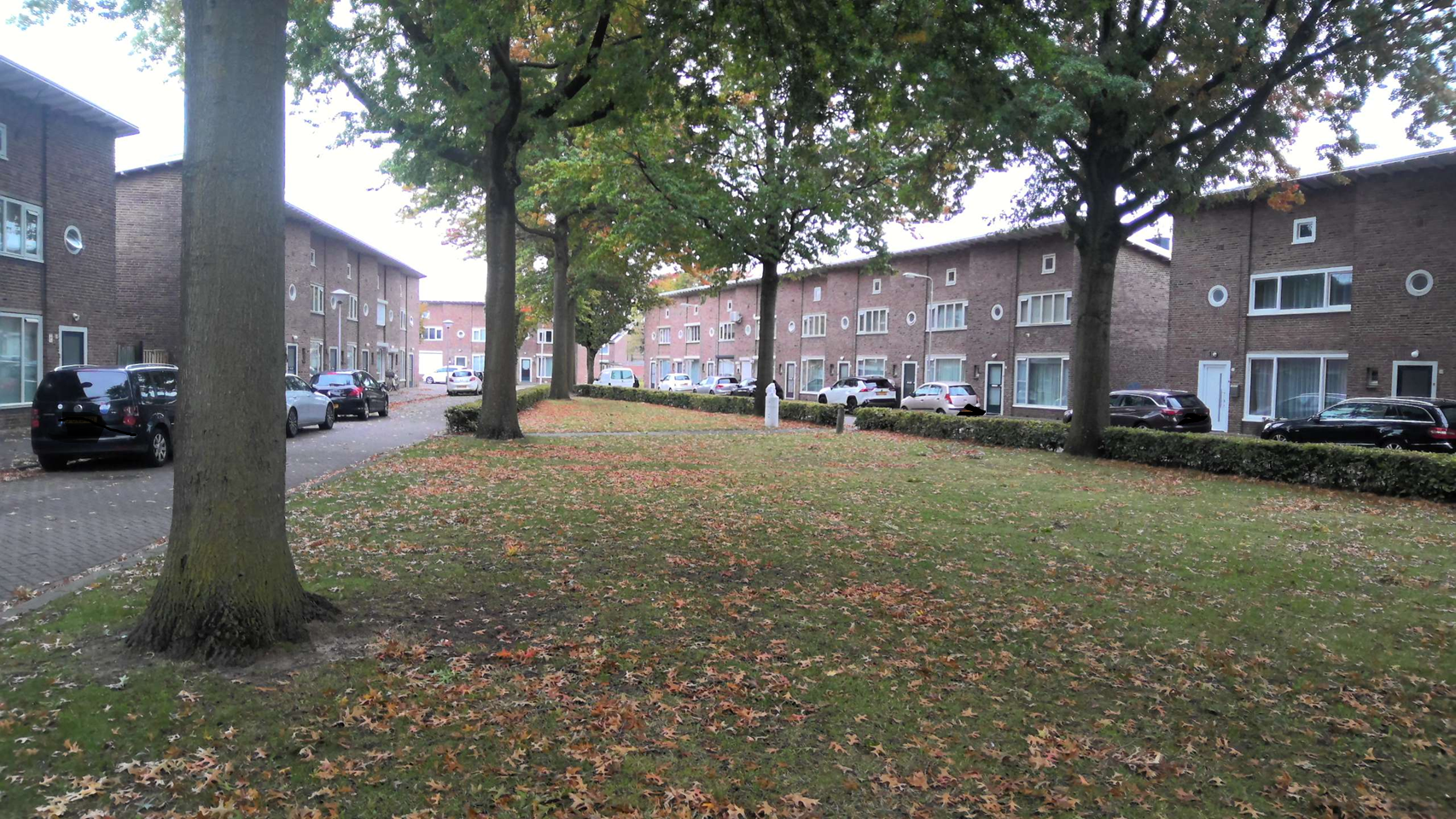 Johan van Bijnenstraat 34