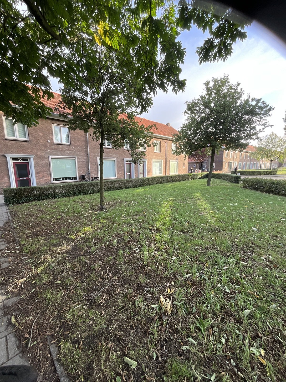 Palmboomstraat 116